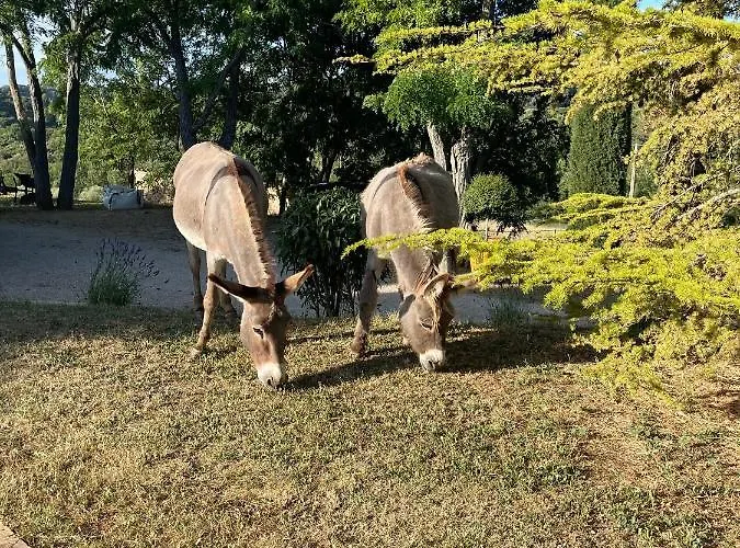 - Le Clos Devançon * Gréoux-les-Bains